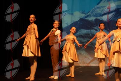 SHOW_00435.jpg